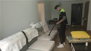 金地悅風甲醛治理