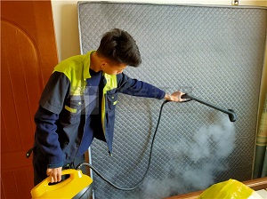 河套中筑藍灣甲醛治理