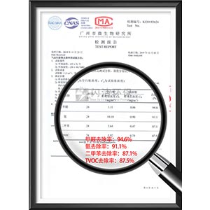 氣態污染物去除率檢測報告..